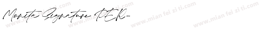 Monita Signature PER字体转换